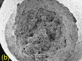 Obr. 8 Vzorek X-52 přetržený na vzduchu: (b) smykový okraj