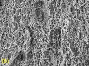Obr. 3 Vzorek X-60-12: (b) kombinace lomových mechanismů
