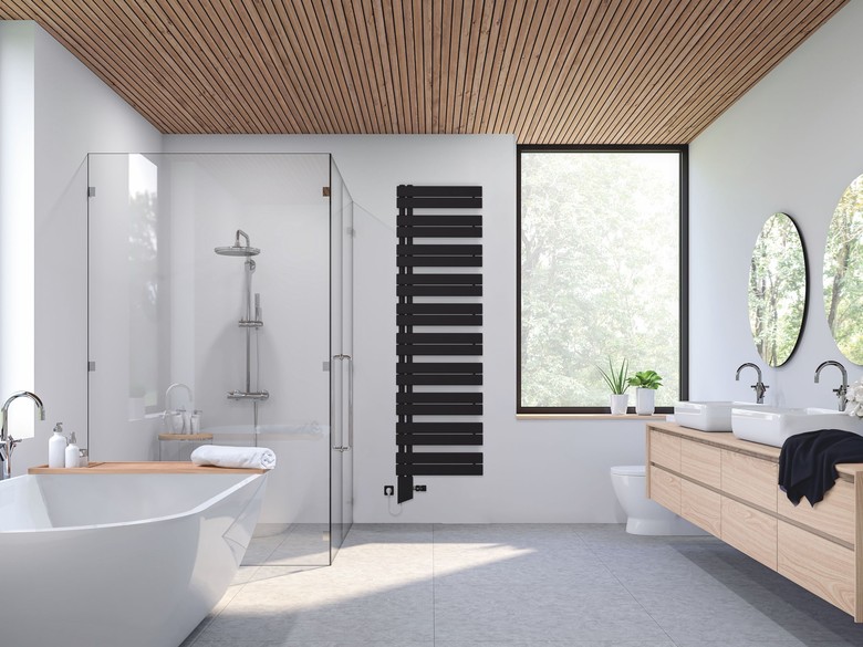 Radi�tor Zehnder Roda Duo