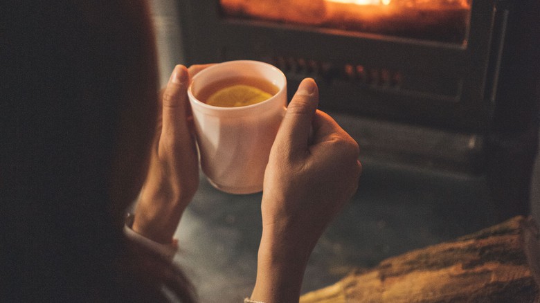 Vliv způsobu zátopu ve zplyňovacích kotlích na emise znečišťujících látek